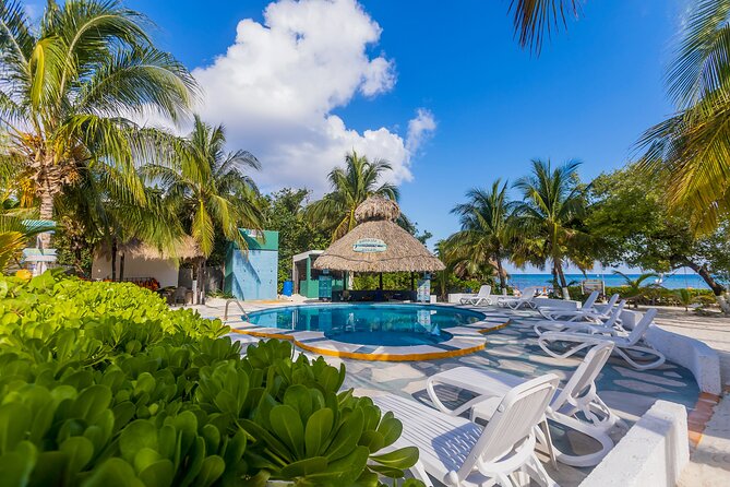 Tikinxic Barefoot Fish Guided Cookout Experience in Cozumel - Questions