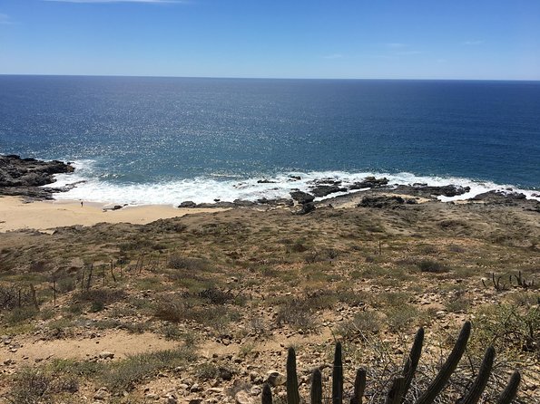 Todos Santos Day Trip From Cabo San Lucas - Positive Experiences and Recommendations