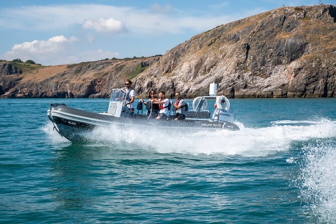 Torquay Coastal RIB Seafari - Traveler Photos