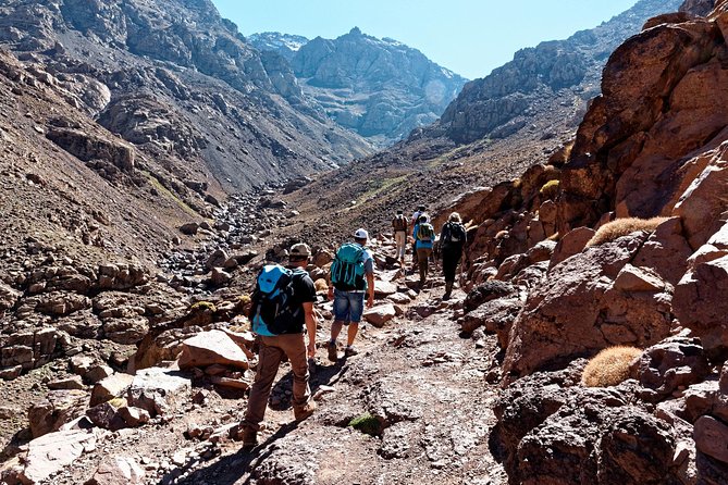 Toubkal Trek - 2 Days - Traveler Photos and Reviews