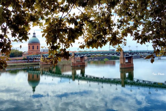 Toulouse Private Guided Walking Tour - Tour Highlights
