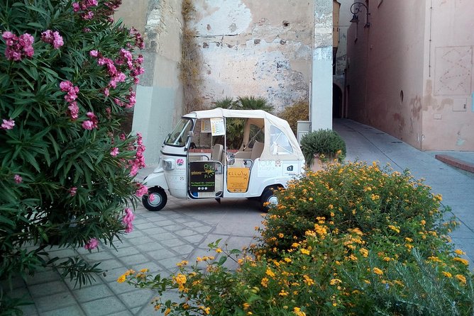 Tour Ape Calessino (Tuk Tuk) of the 4 Historic Districts of Cagliari - Customer Support and Assistance