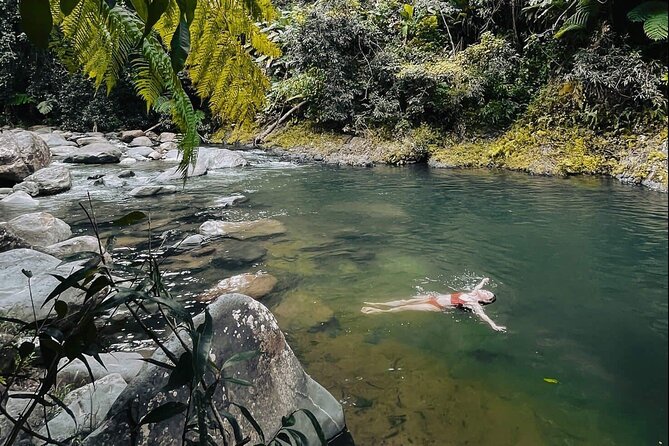Tour El Yunque Rainforest - Additional Information