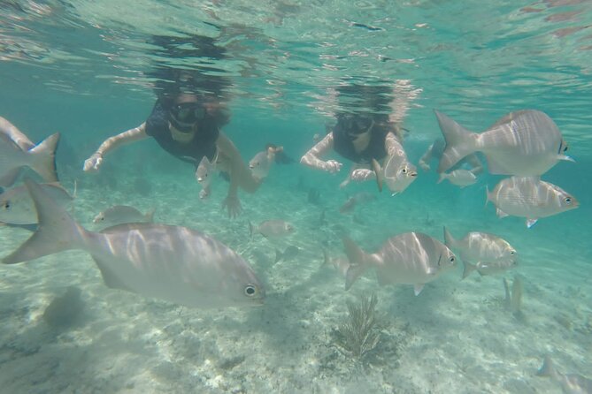 Tour in Buggy Cedral History Snorkeling and Lunch in Cozumel - Cancellation Policy