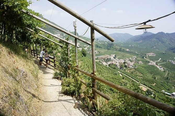 Tour in the Prosecco Hills Tour From Padua - Questions and Terms