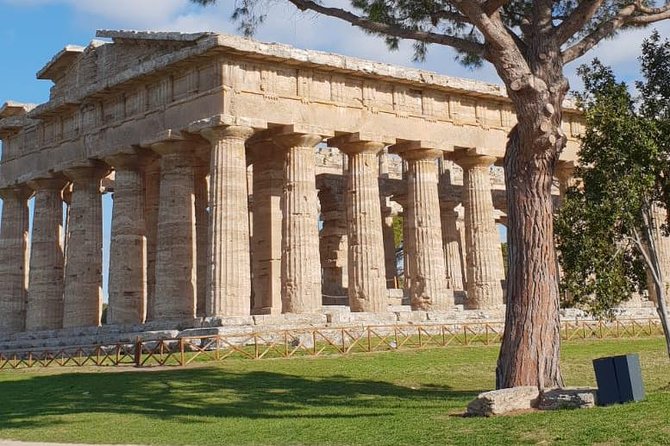Tour in the Ruins of Paestum With an Archaeologist - Traveler Photos