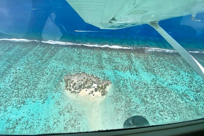 Tour of the Island of Tahiti WITH Flight Over Moorea in a Private Plane - Reviews