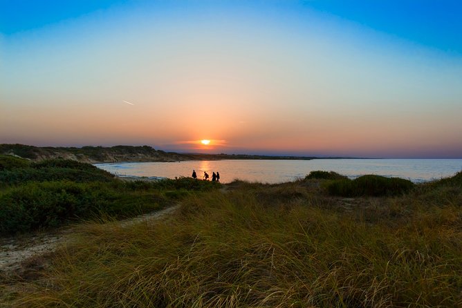 Tour of the Nature Reserve of Torre Guaceto - Weather-dependent Experience