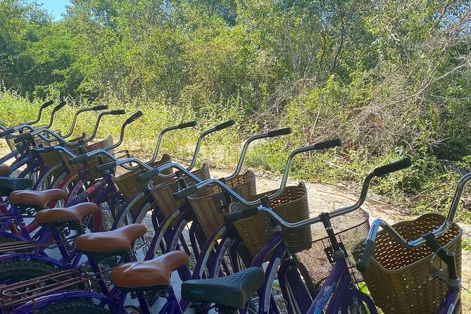 Tour to Cenotes of Santa Barbara and Acanceh Area From Merida - Reviews and Overall Rating