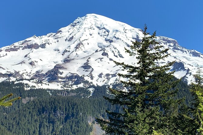 Touring and Hiking in Mt. Rainier National Park - Customer Testimonials