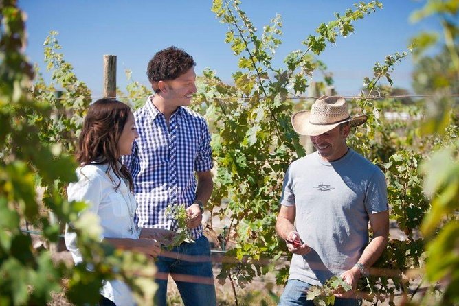 Traditional Cheese and Wine Route in English, Departing From Queretaro - Reviews