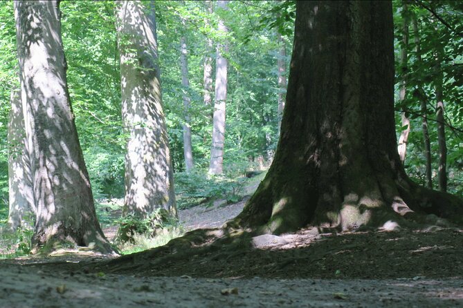 Trail Running Adventure Greater Copenhagen - Cancellation Policy