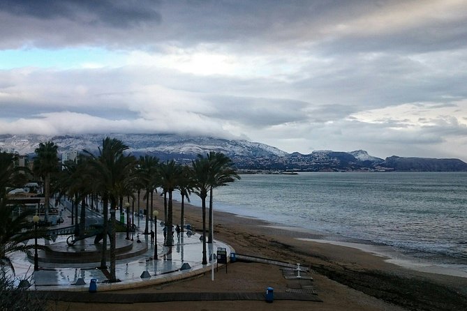 Transfer From Alicante Airport to Albir in Private Minivan up to 6 Passengers - Pickup and Drop-Off Locations