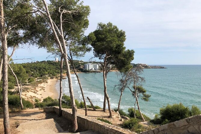 Transfer From Salou/ Port Aventura/ Cambrils to BCN Airport - Questions and Additional Information