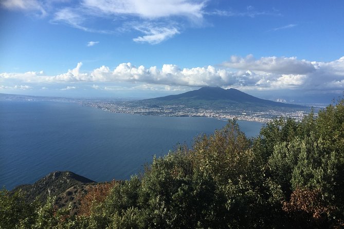 Transfer From Sorrento to Naples - Questions and Terms