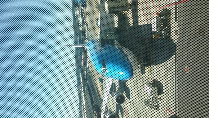 Translate: "私の東京ツアーガイドは、日本のディスコやクラブに関する情報を提供します。どこでも踊ることができます。" - Recommendations