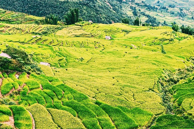 Trekking Sapa 2 Days 1 Night - Essential Tips for a Memorable Trekking Experience