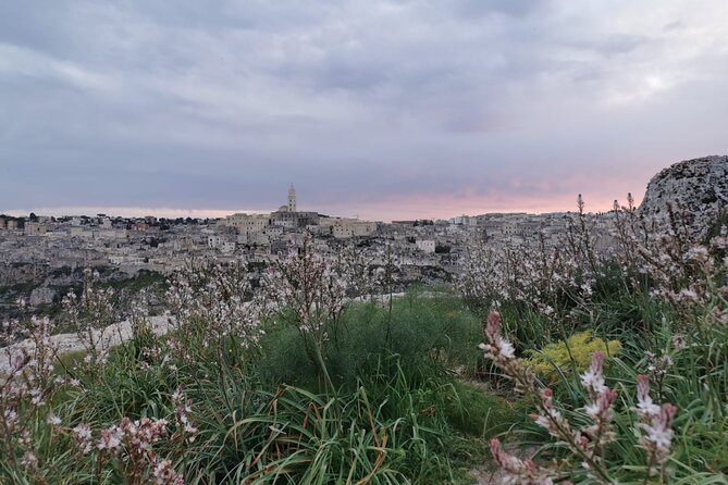 Trekking Towards Torrente Gravina and Rupestrian Churches of the Murgia - Local Flora and Fauna
