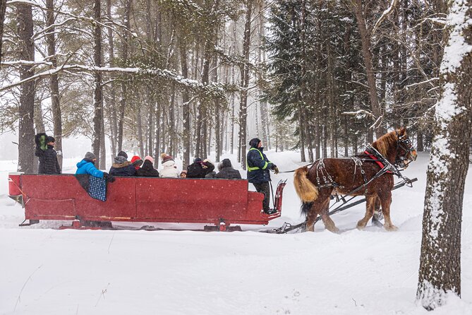 Tremblant Sleighride - Pricing and Related Activities