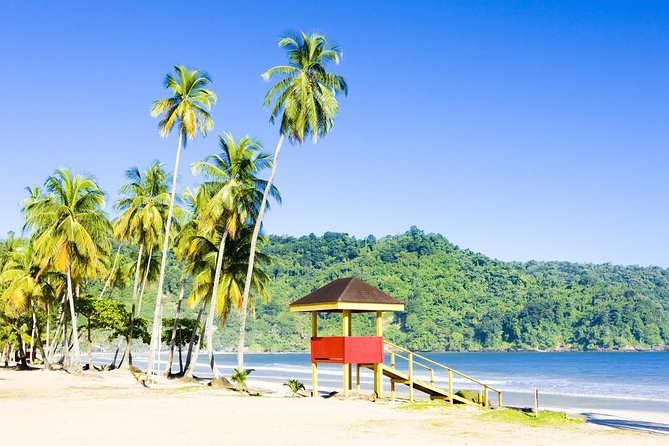 Trinidad Highlights and Scenic Drive Tour - Customer Reviews and Tour Guide Jeffrey