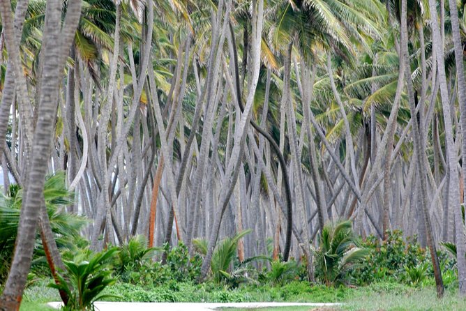 Trinidad Island Circle Tour With Pickup - Additional Information and Cancellation Policy