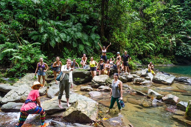 Trinidad Rainforest Hike to Waterfall - Pricing, Terms, and Booking Information