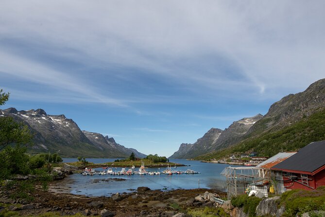Tromsø Fjords and Islands Road Trip With 8 Seats Minivan - Reviews