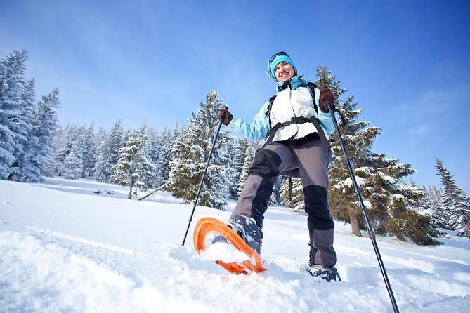 Tromso Guided Snowshoe Trip - Common Questions