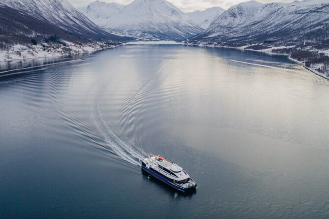 Tromsø, Northern Lights and Wilderness Evening Catamaran Cruise - Traveler Photos and Reviews