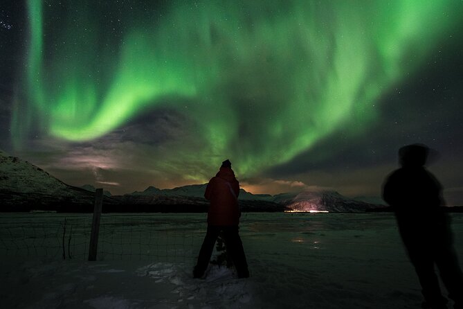Tromsø Norway - Private Northern Lights Tour With Local Guide - Cancellation Policy and Reviews