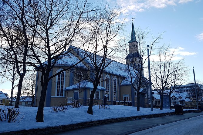 Tromso: Private City Walking Tour - Opening Hours and Pickup Details