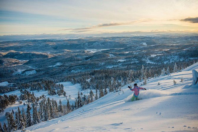 Trondheim Forest Sledding and Tram Tour - Traveler Photos