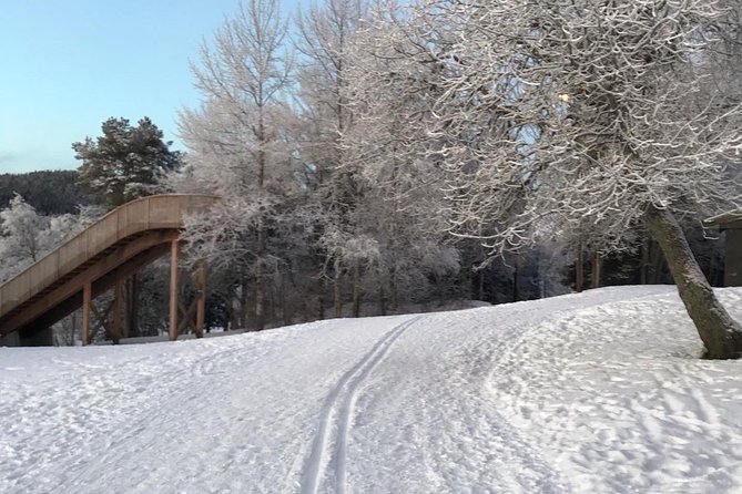 Trondheim Small-Group Cross-Country Skiing Adventure - Important Information
