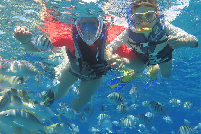 Tropical Snorkeling Tour From Punta Cana - Common Questions