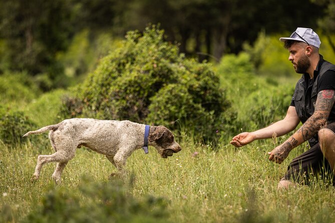 Truffle Hunting at Meteora - Meeting Point and Pickup Information