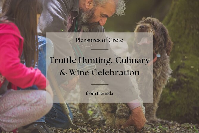 Truffle Hunting, Culinary & Wine Celebration From Elounda - Wine Tasting and Pairing