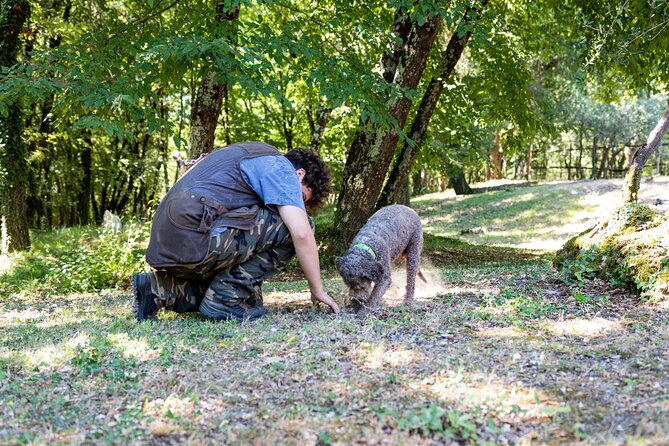 Truffle Hunting & Truffle Cooking Class - Traveler Photos and Experiences