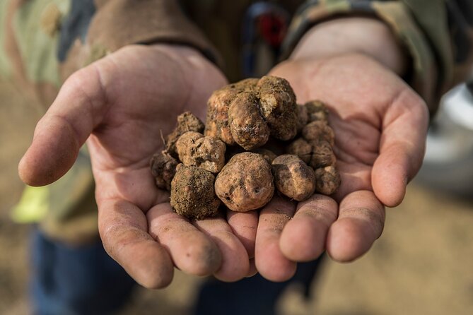 Truffle Lunch & Hunting Experience in San Gimignano - End Point Information