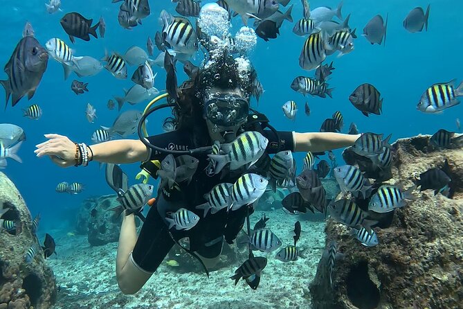 Try Diving Without Prior Experience - Tips for a Successful First Dive Experience