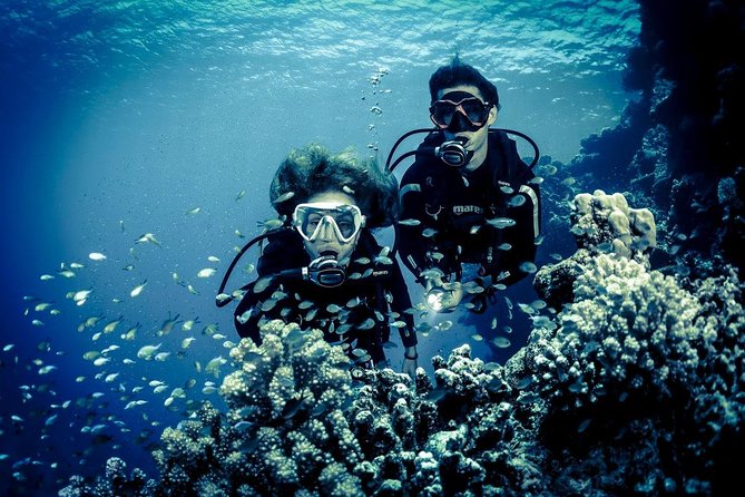 Try Scuba Dive (Baptism of the Sea) - Reviews