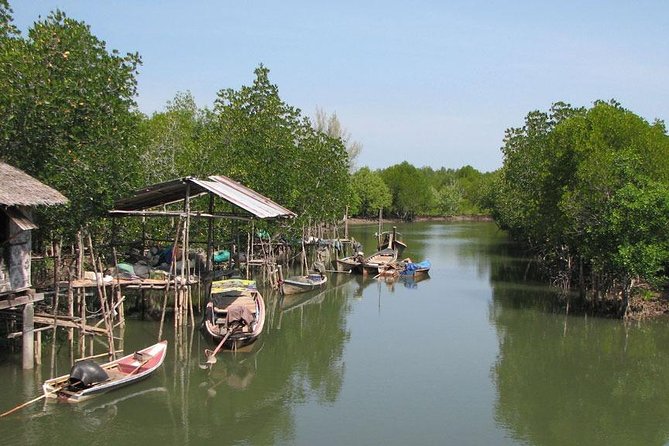 Tung Yee Peng Mangrove Forest Tour By Longtail Boat From Koh Lanta - Additional Information