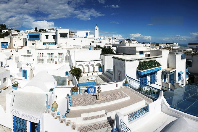 Tunis Full-Day Group Tour: Carthage, Sidi Bou Said and Medina - Sidi Bou Said Area