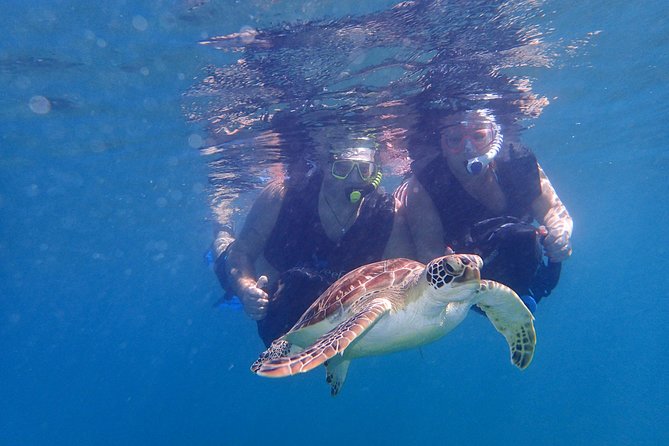 Turtle Beach Power Snorkeling Adventure - Participant Requirements and Safety Precautions