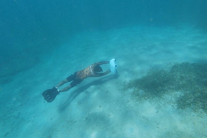 Turtle Spotting Snorkeling Adventure- No Jets - Cancellation Policy for Peace of Mind