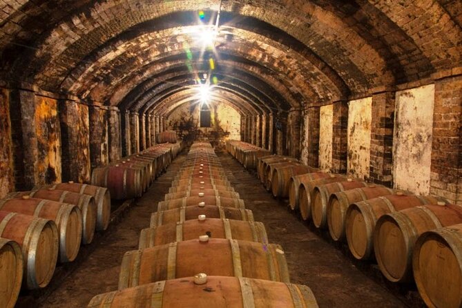 Tuscan Winery Tour and Wine Tasting  - Montecatini Terme - Traveler Photos