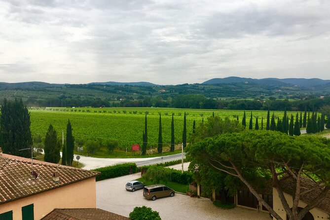 Tuscany and Wine Tasting Private Tour From Livorno - Easy Access From Livorno for Cruise Ship Passengers