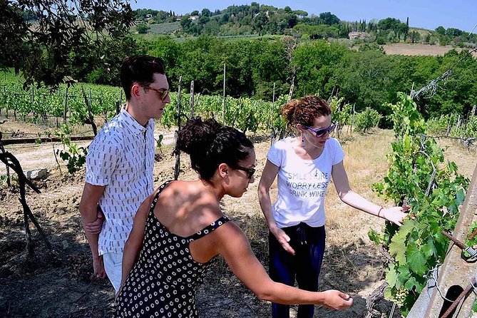 Tuscany Region Guided Small-Group Wine Tasting From Florence - Lunch and Wine Pairing