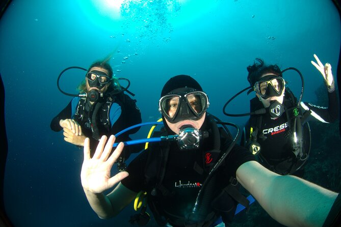 Two Dives for Certificates in the Coral Reef in Mahahual Costa Maya - Meeting and Pickup