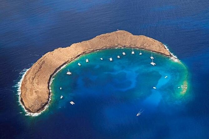 Two Stop Half-Day Snorkel Excursion in Maui - Cancellation Policy and Cut-Off Times