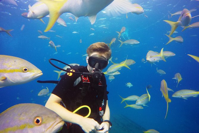 Two-Tank Dive for Certified Diving in St Thomas - Common Questions